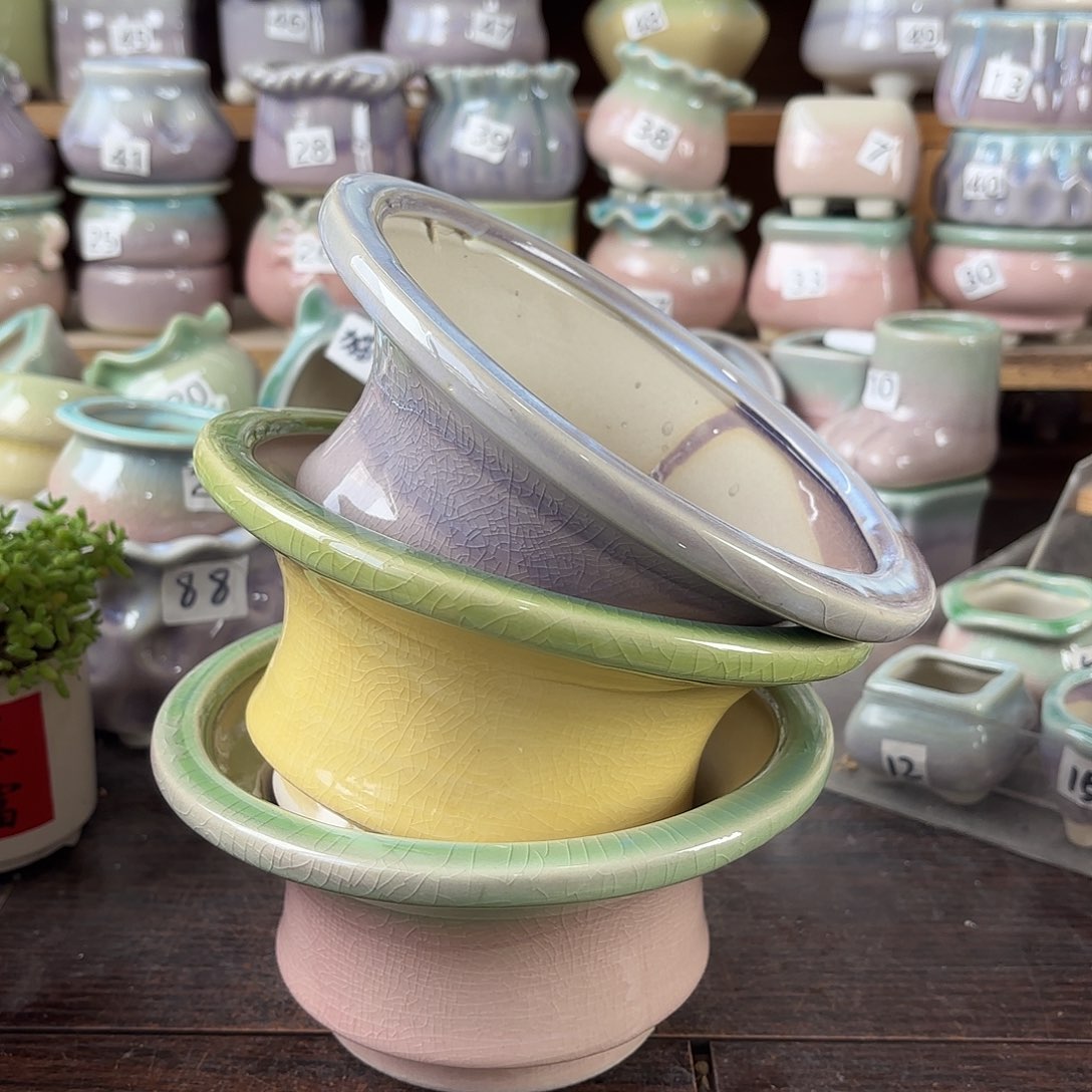 量货/口13-16高深浅搭配发2个