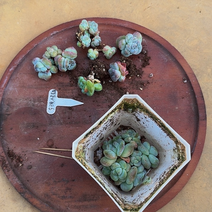 今***播哈哈哈哈哈哈哈哈哈哈哈