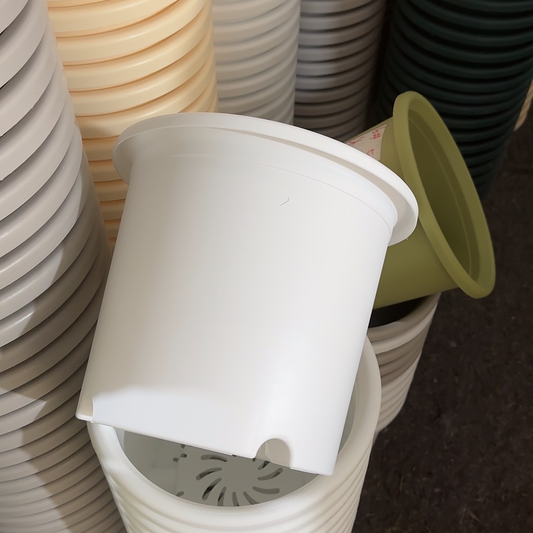 微瑕6号无托，白色7个