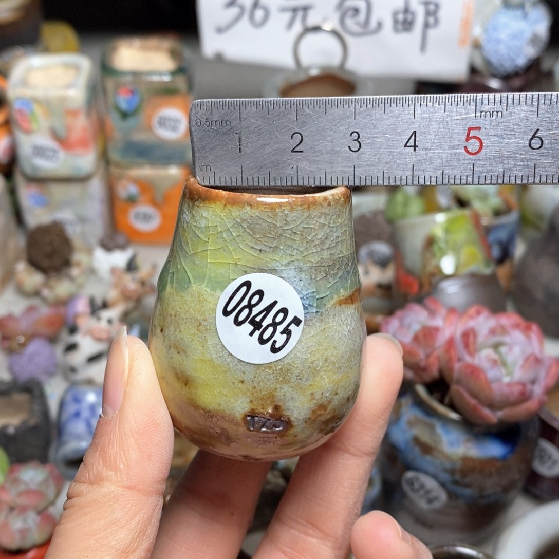 花*。花盆，拍5送一个小礼物