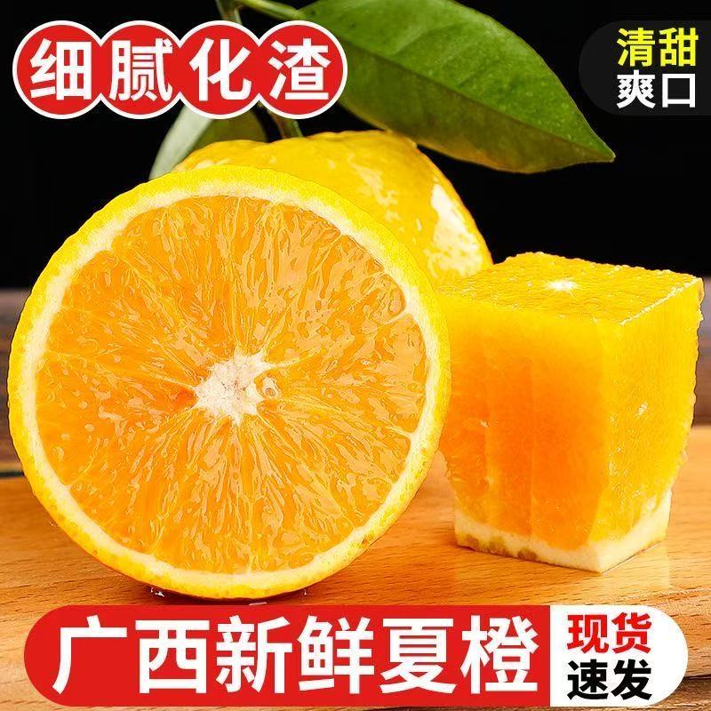 新鲜夏橙酸甜多汁薄皮应季水果产地直发
