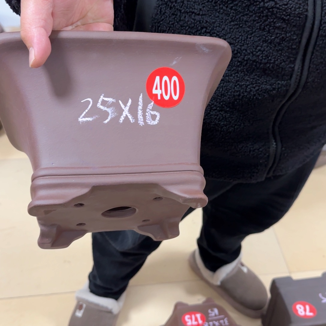 紫砂花盆去年我在一起的时候