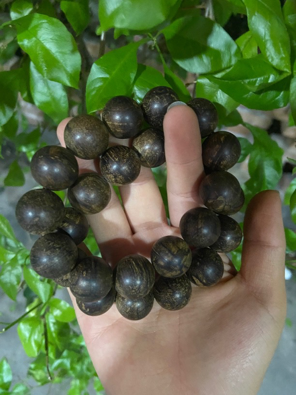 【土特产菇8】净含量43g