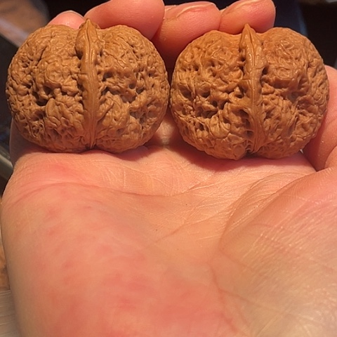 把件文玩核桃密纹金蟾带彩39