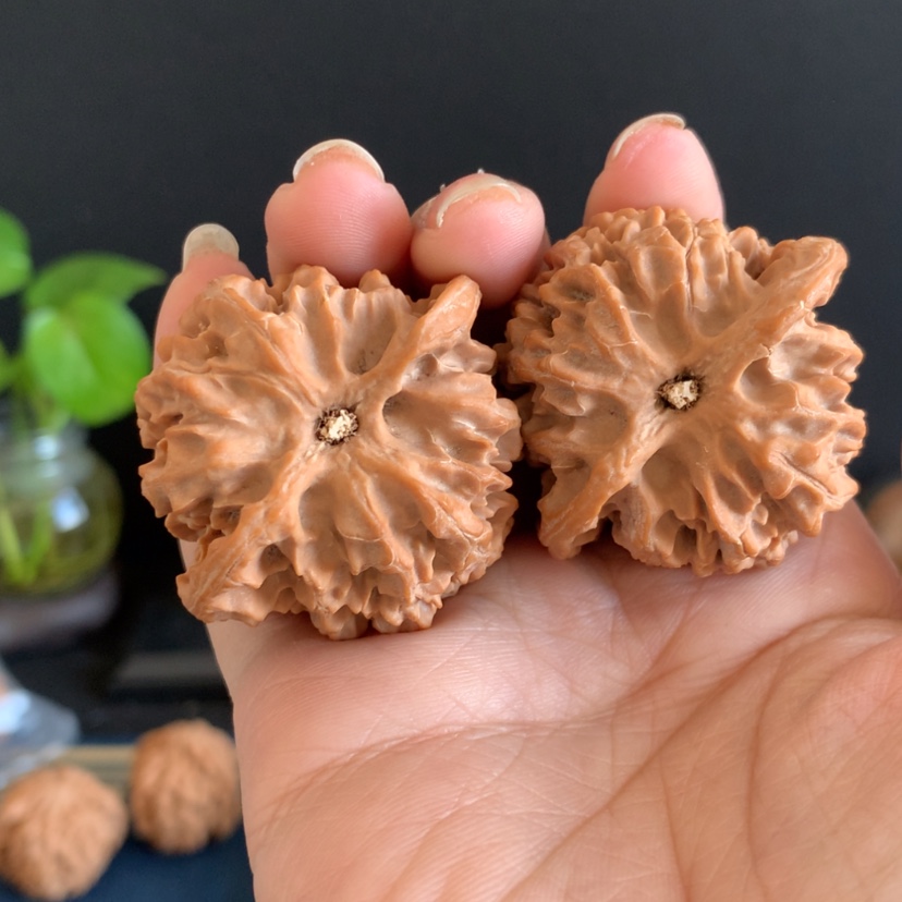 【闪购商品】核桃手串/手链42苹果园编号4262