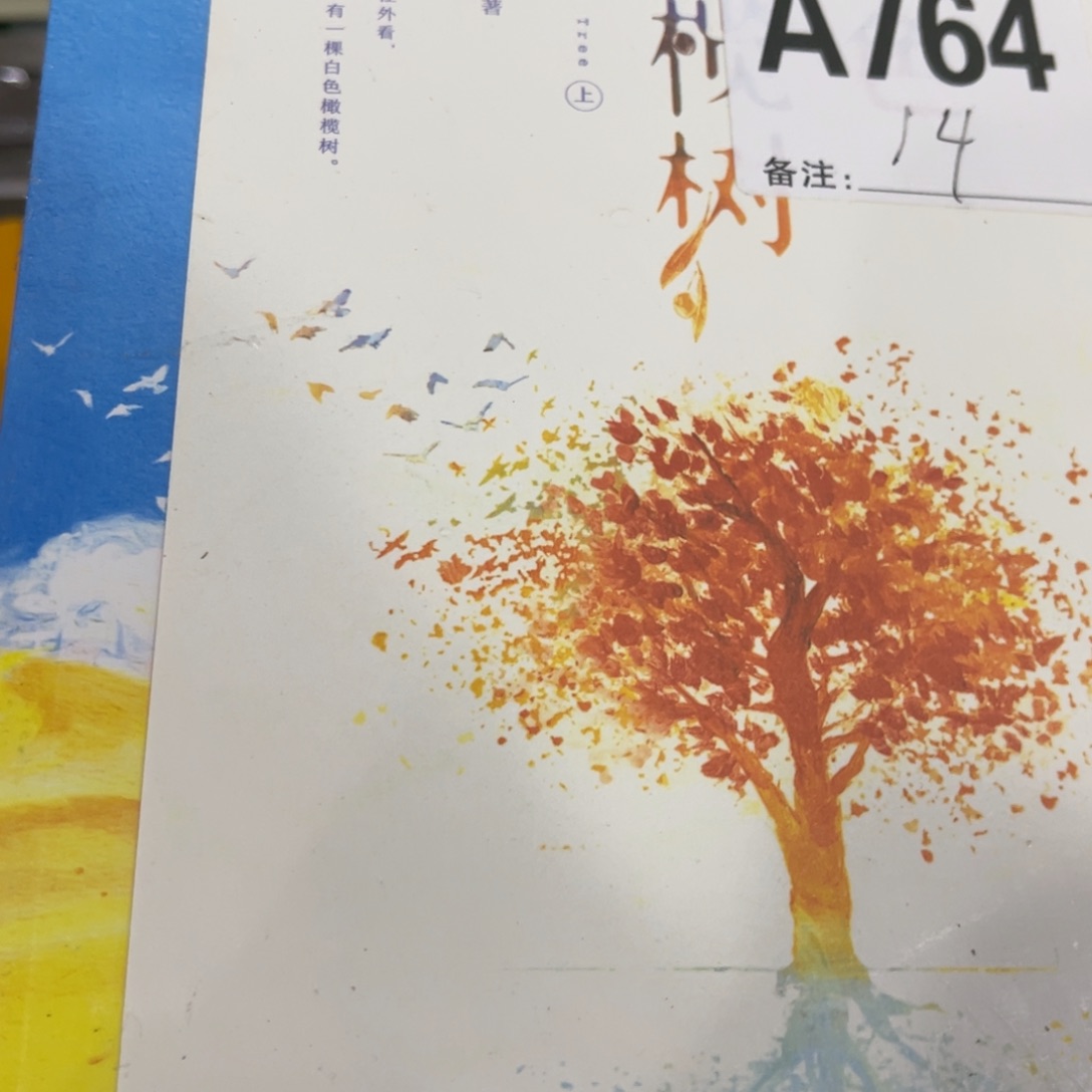 伈***菻白色橄榄树两本一套