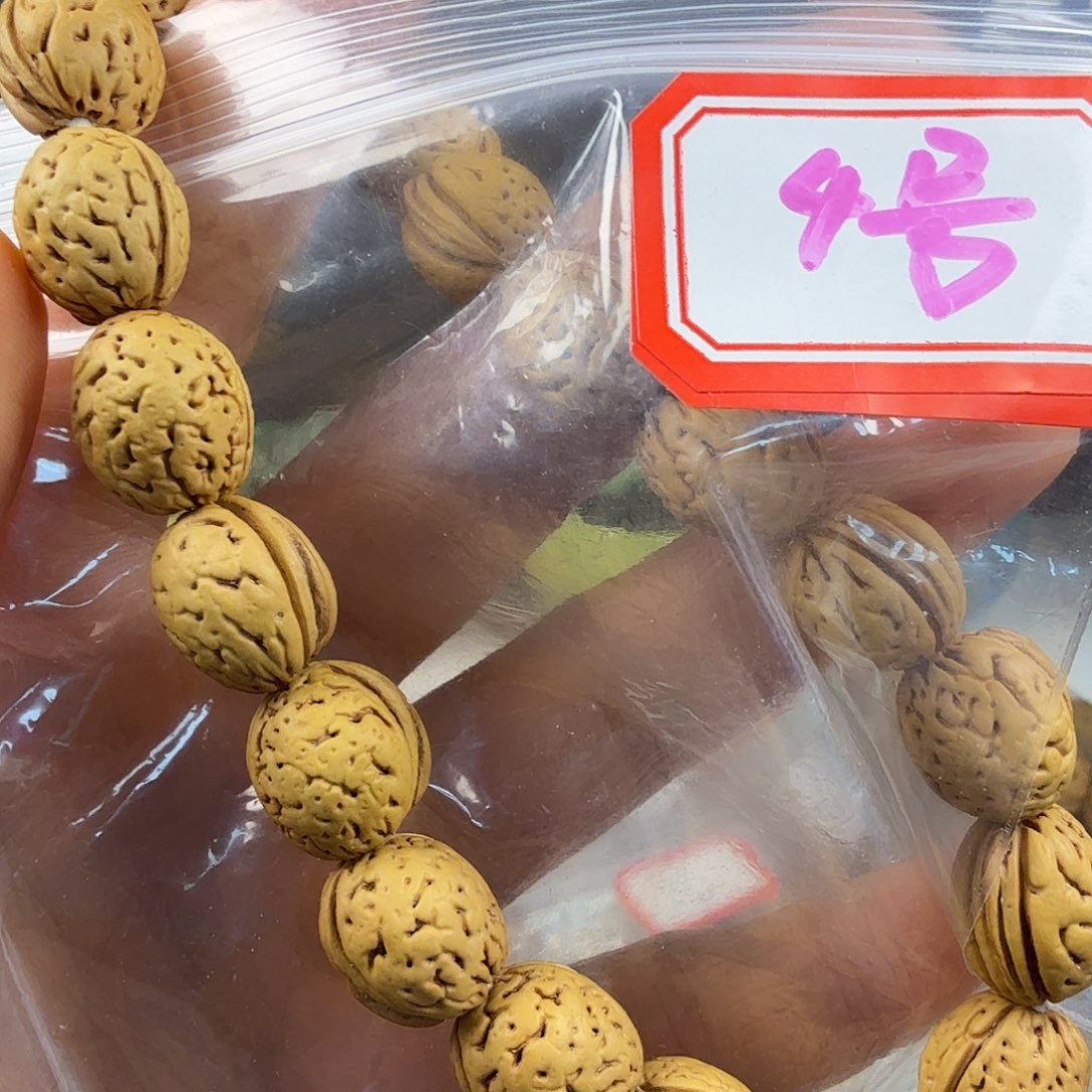 4号盘锦野生钱袋子