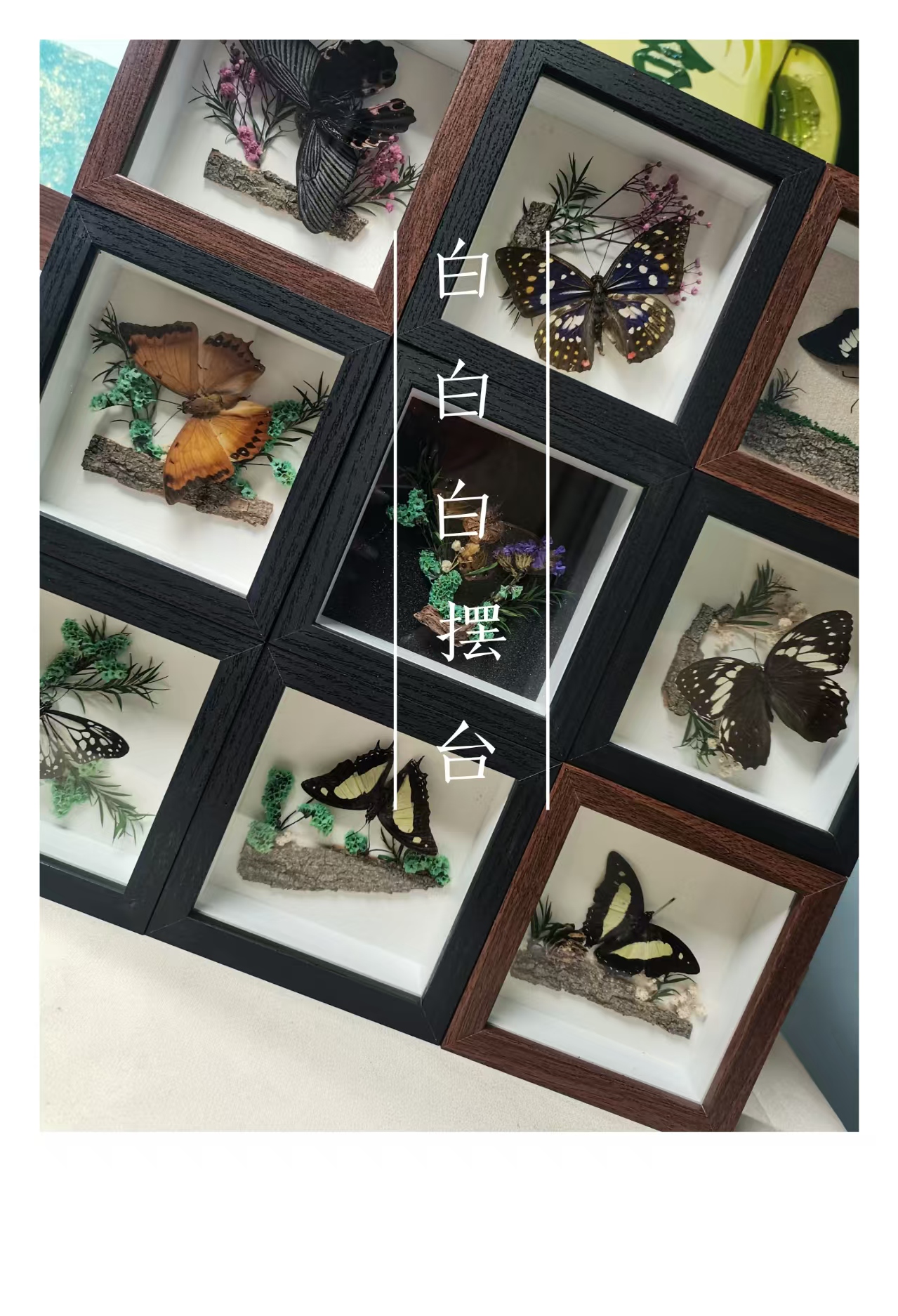 【定制专拍链接】蝴蝶标本蝴蝶相框艺术轻奢挂饰摆台送礼女友必备