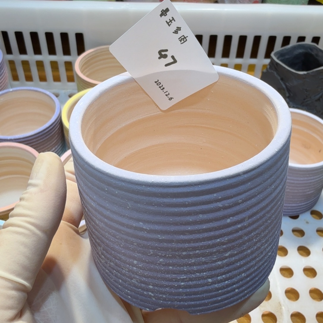 万***筒多肉多肉多肉12.6-047