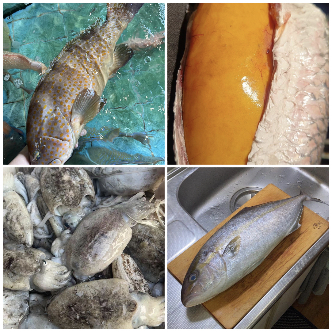 豪华海鲜拼盘，有海钓芝麻斑，带籽带膏的乌头鱼，灯光白面，墨鱼带籽