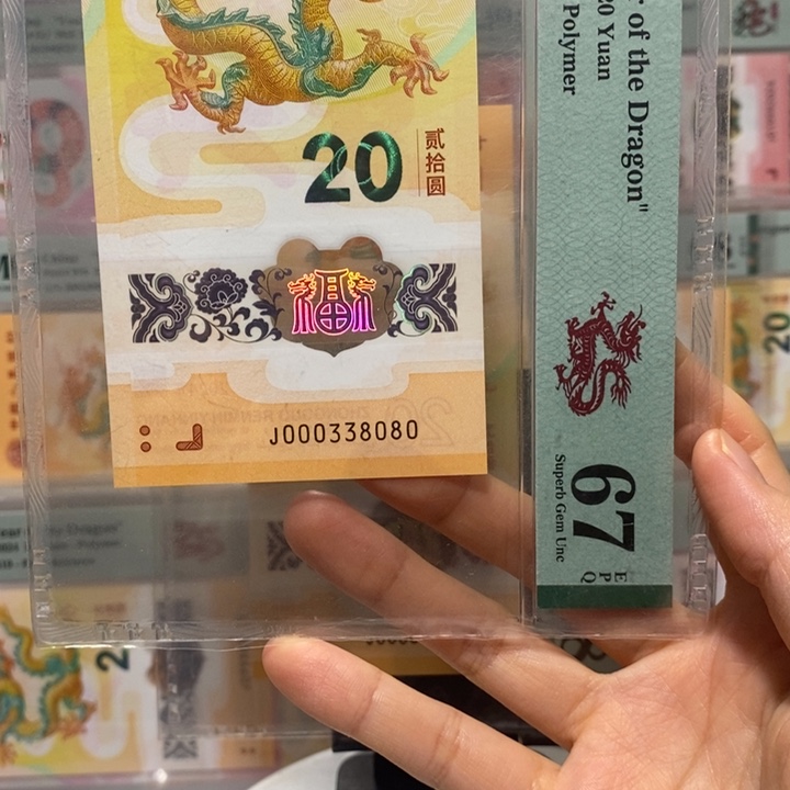 小龙钞倒影王龙三五龙珠