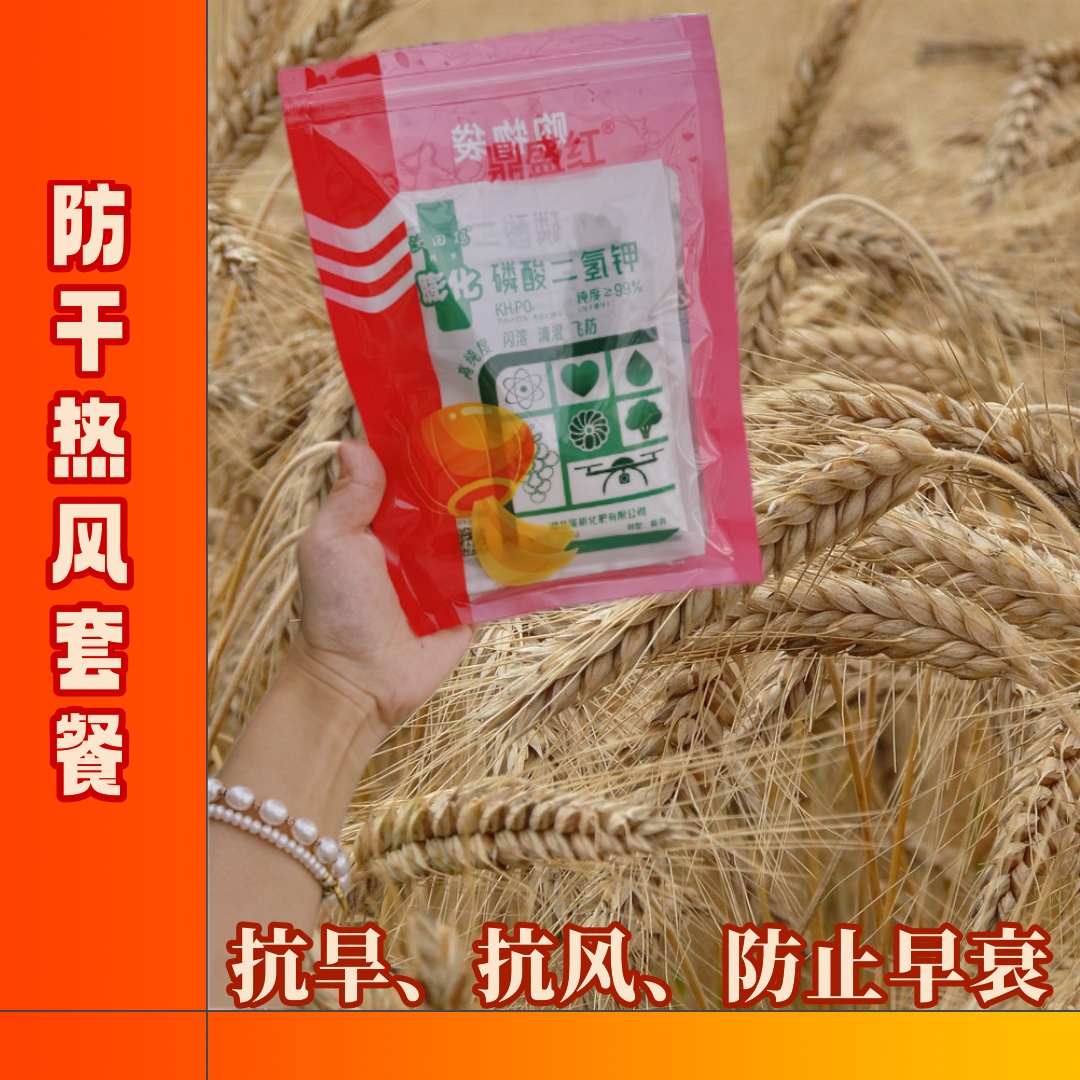 防干热风套餐磷酸二氢钾叶面肥小麦高产防早衰抗倒伏增收增产十亩