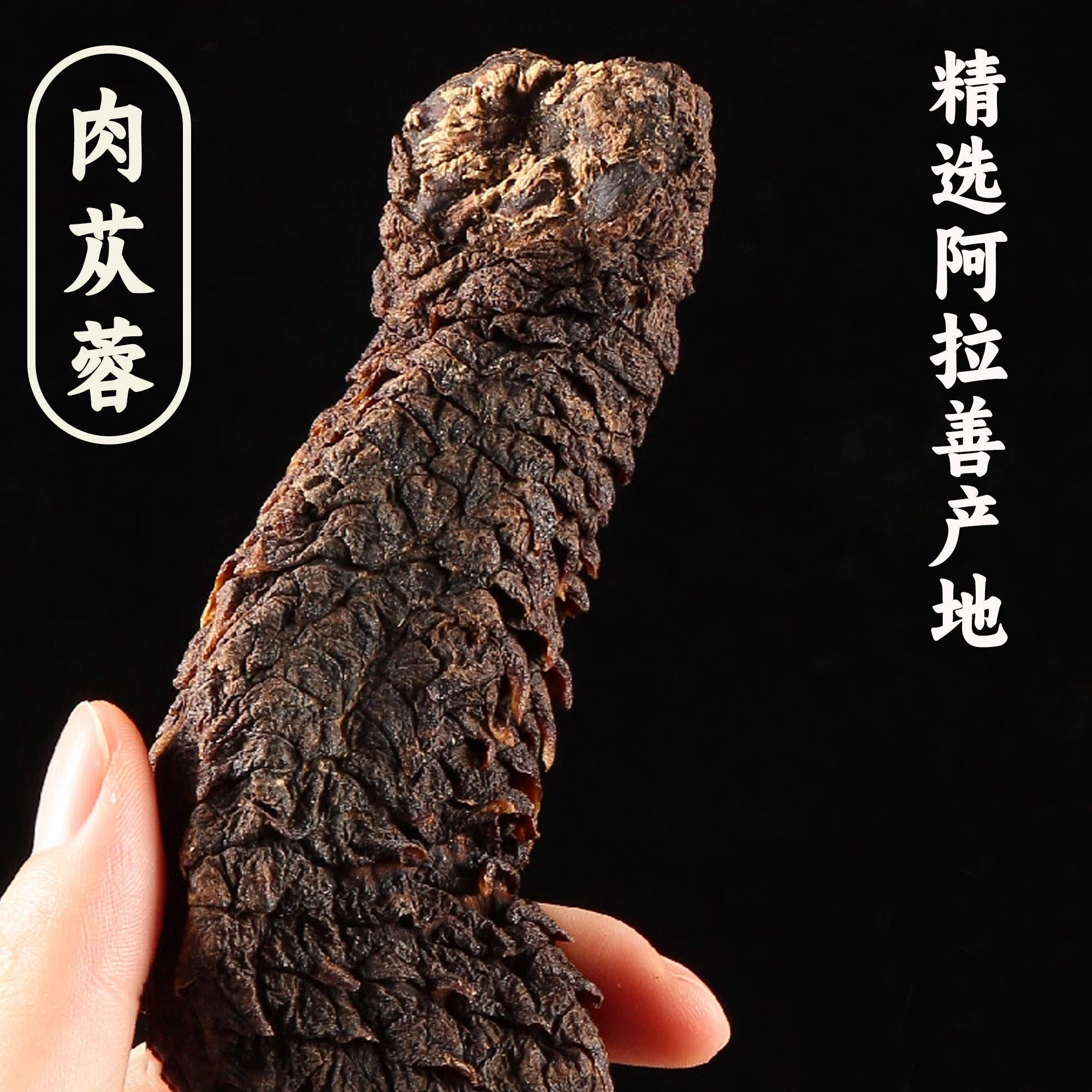 内蒙阿拉善油性肉苁蓉 可泡酒煮水煲汤 直播间现拍链接 一物一拍
