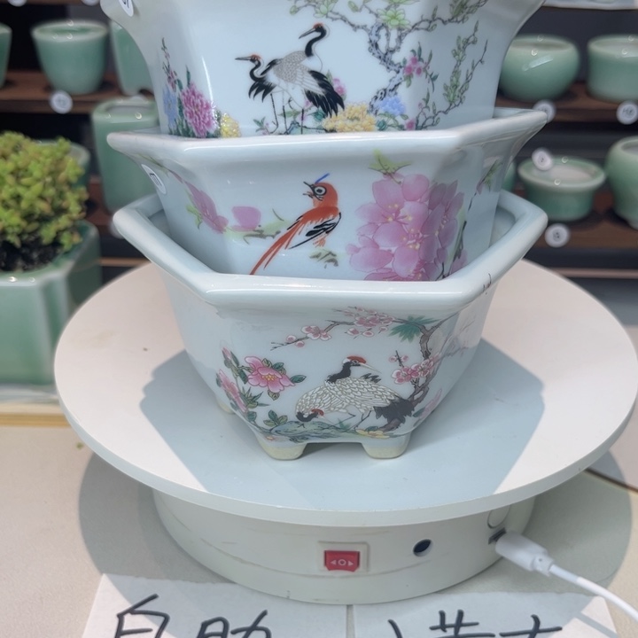 盆心缘小花盆（默认微瑕）