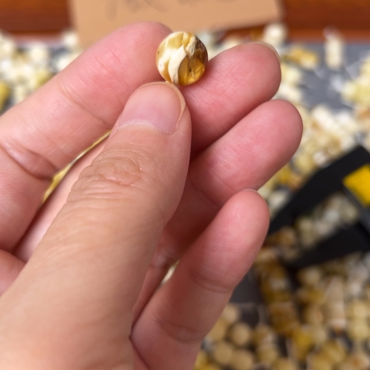 蜜蜡未镶嵌裸石10.2mm