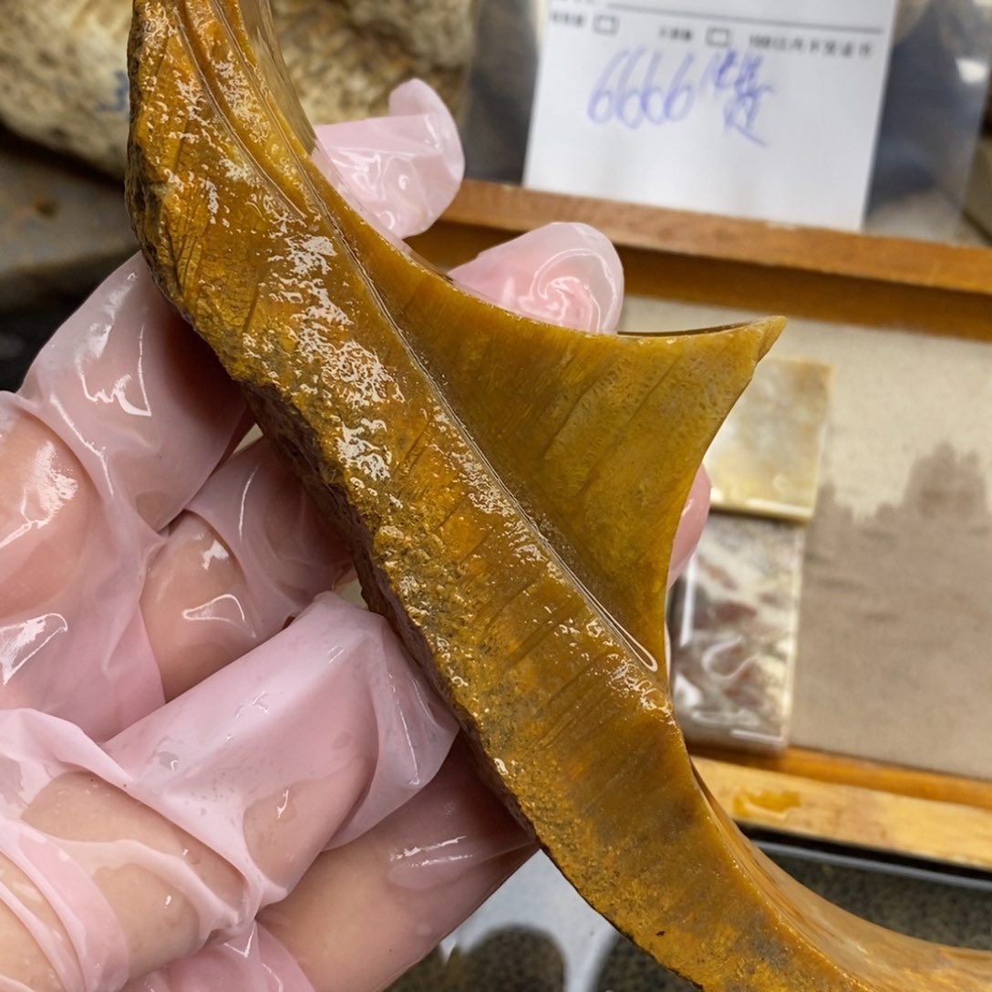 【闪购商品】硅化玉颈饰未镶嵌