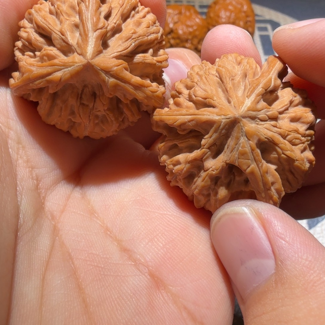 文玩核桃把件御龙正奔