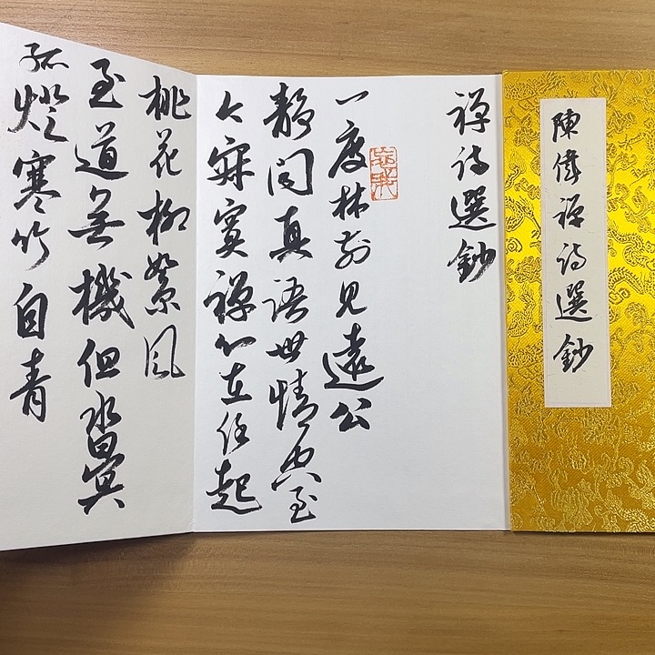 书法中书协会员作品