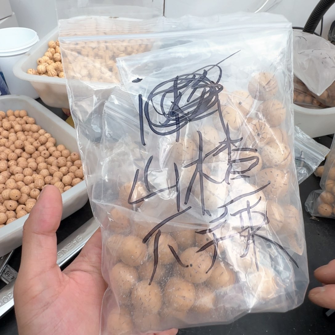 核桃手串/手链山**辣哈哈哈哈哈哈哈