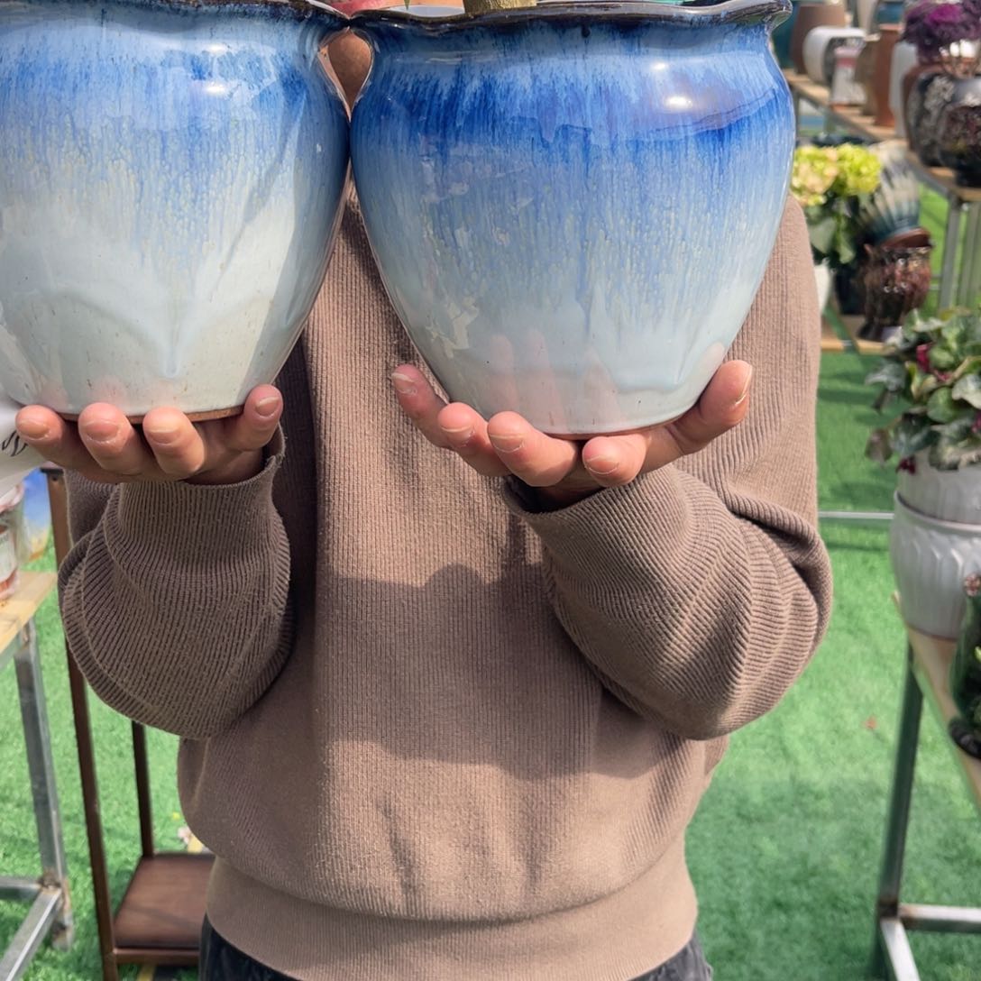 红陶彭于晏0216-1098