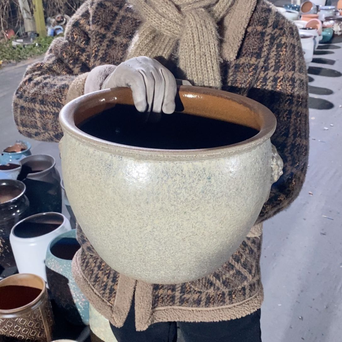 红陶口28高22水培