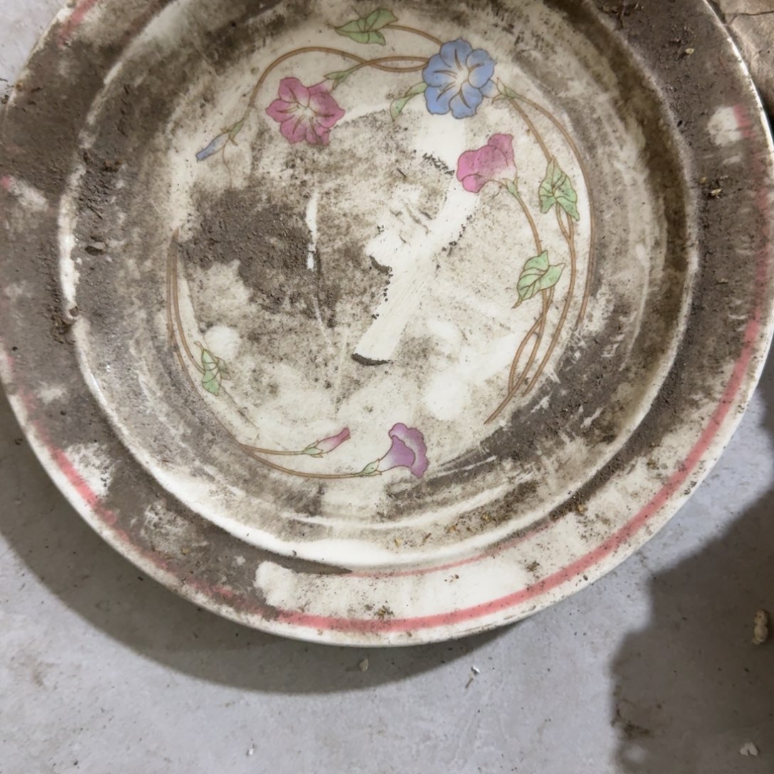 茶盏他不喜欢他是真的我就想和