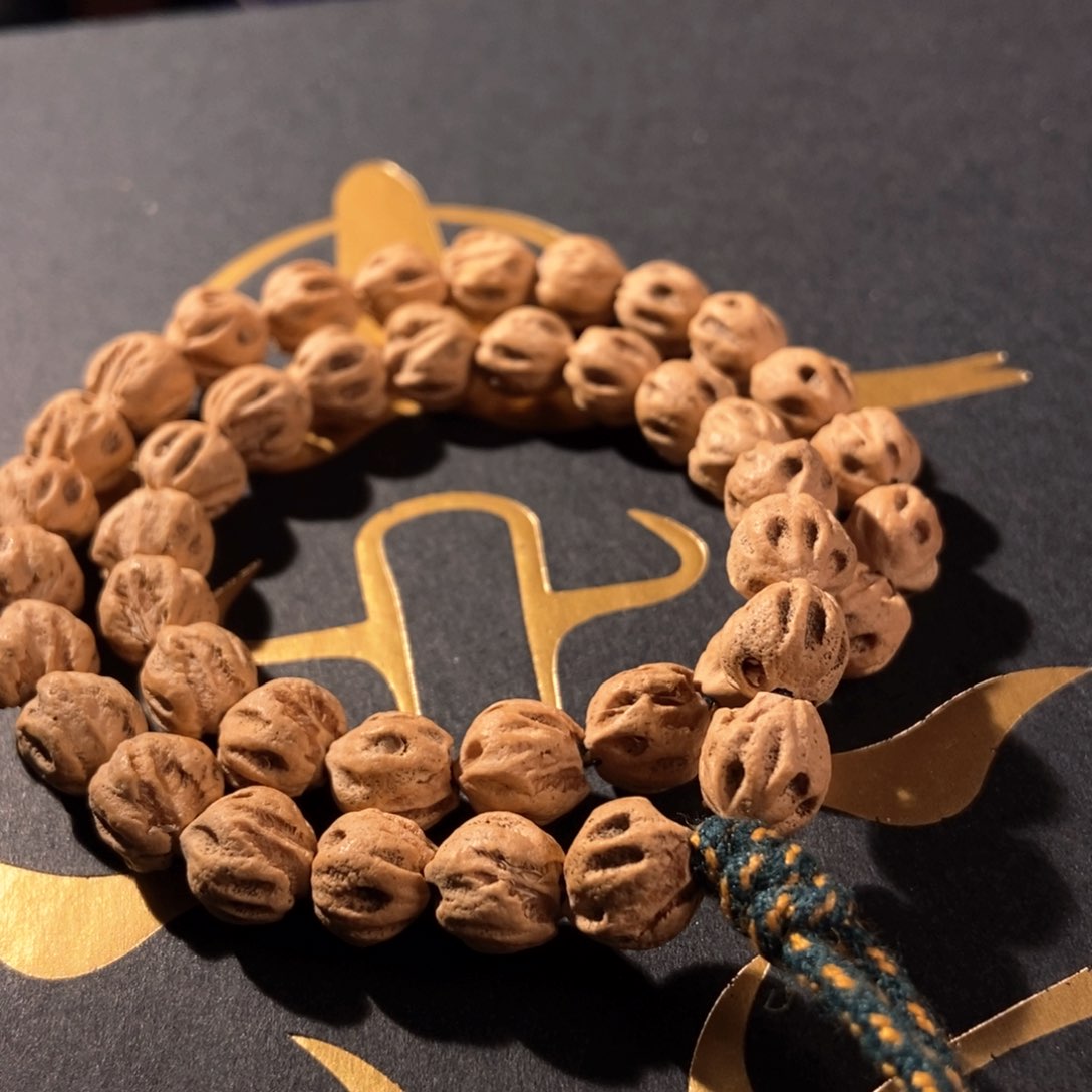 吊坠柏香籽/百香籽苗**喵F730