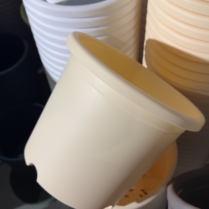 四季5号米黄无拖6个