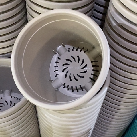 树脂四季3号灰白无托10个