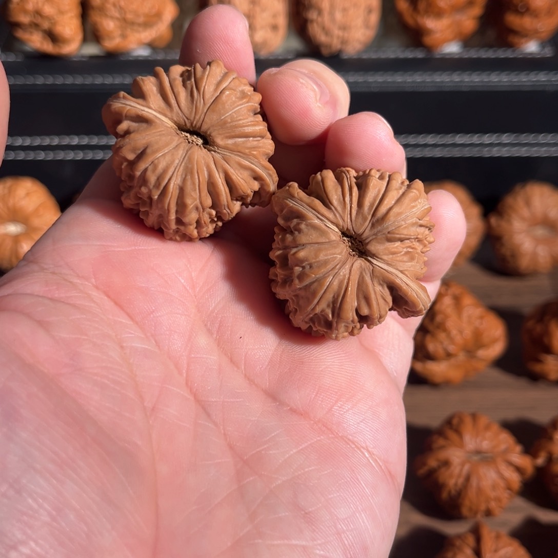 手串/手链核桃¥****¥38全品拱桥楼