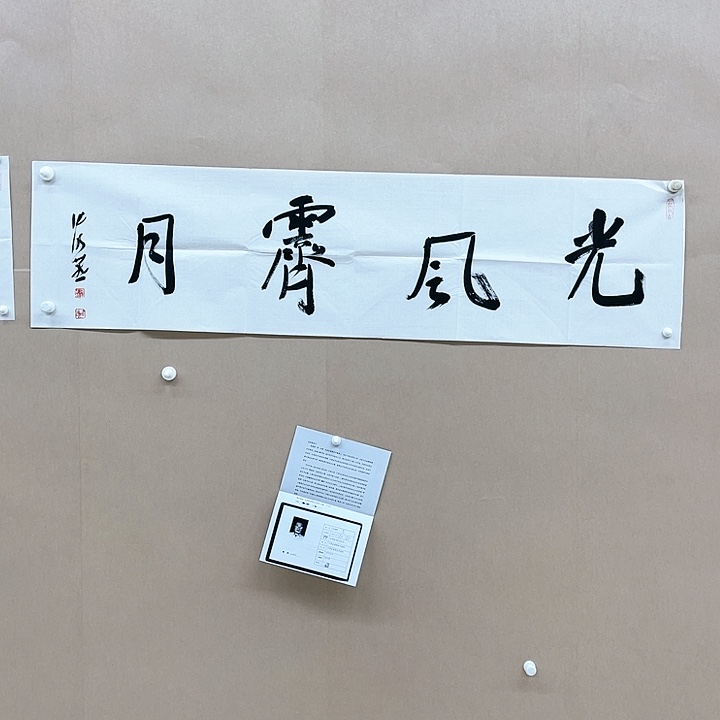 书法张晓燕138*34㎝甘肃LS