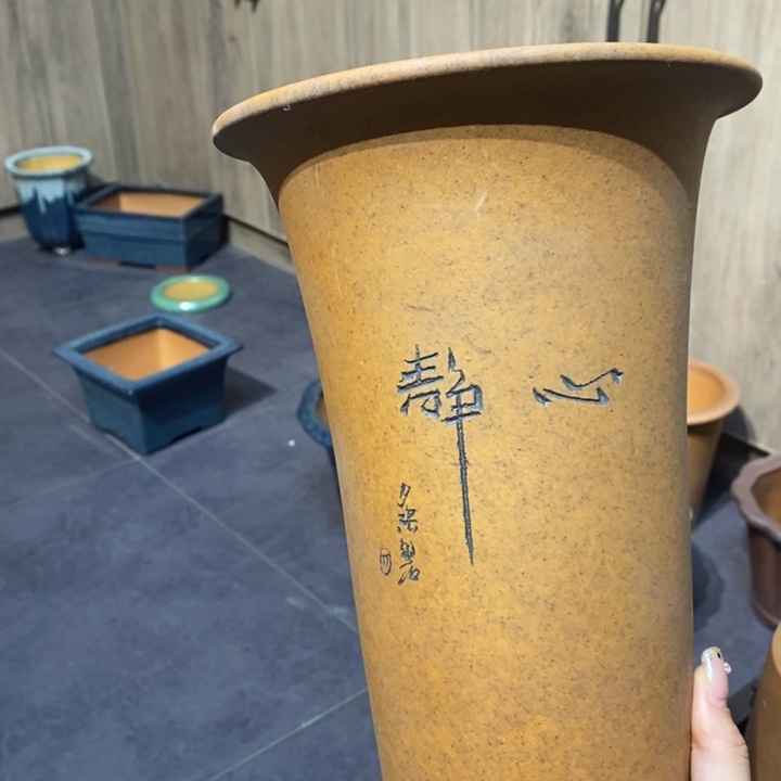 紫砂花盆光**月福利来啦