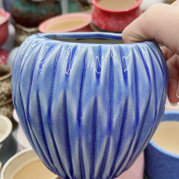 多肉绿植 陶瓷花盆