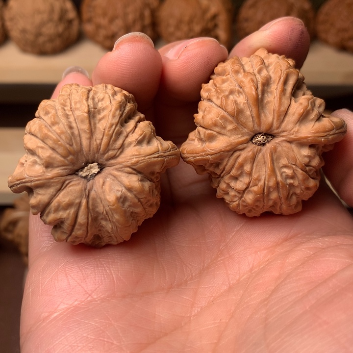 文玩核桃吊坠长*血麒麟