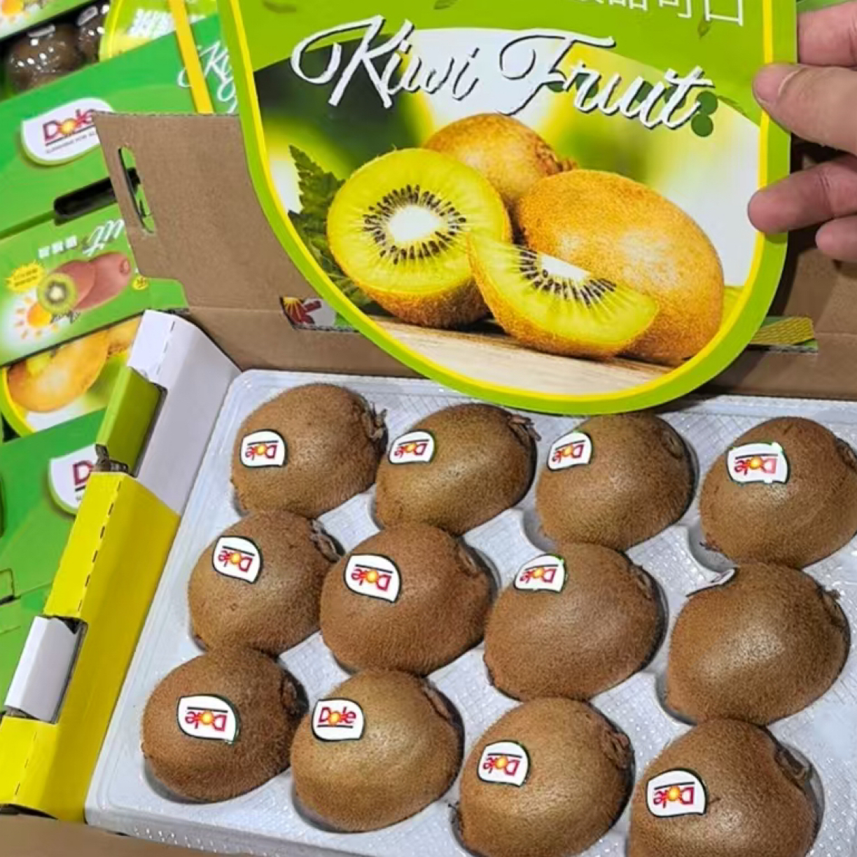 【绿奇异果 】猕猴桃福建省