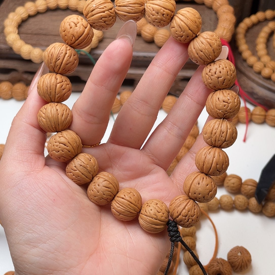 风***马16.2野生灯笼灯笼滴溜圆矮2