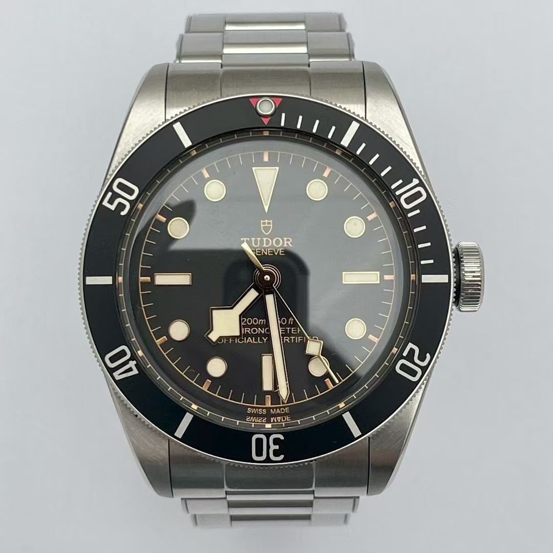 95新 TUDOR/帝舵 碧湾系列/m79230n/41表径/单表带卡