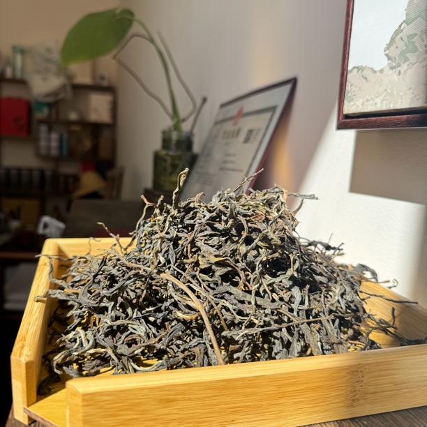 2025年忙肺水井头核心地块谷花秋茶