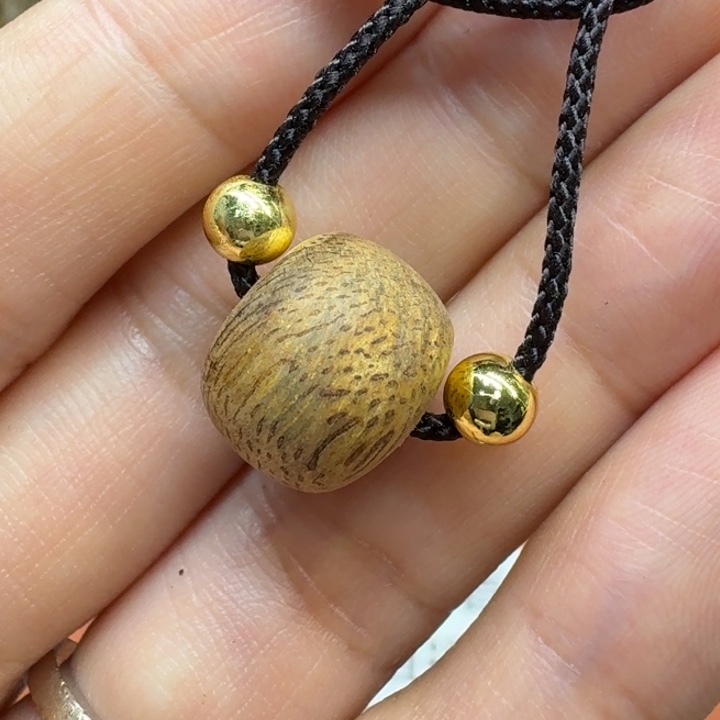 大叶紫檀（黑酸枝木类）