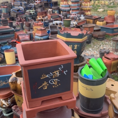 红陶紫砂花盆盆景盆栽