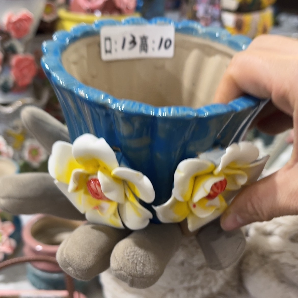 【闪购商品】红陶福利