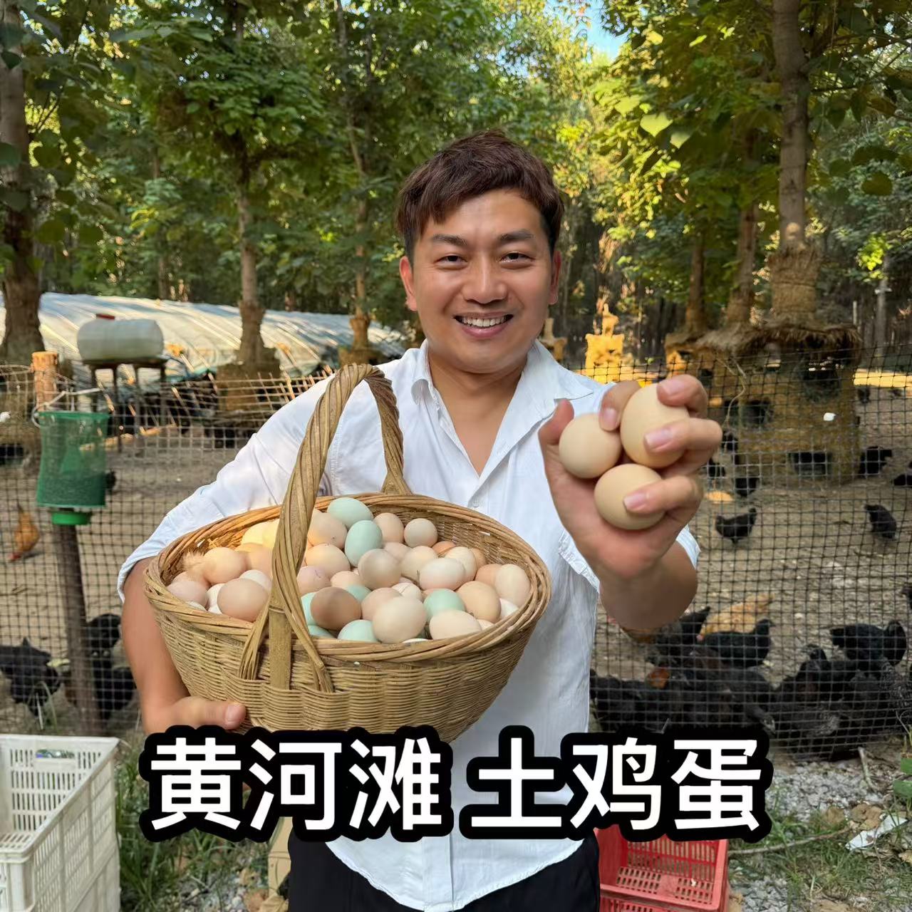 30枚散养土鸡蛋农家散养柴鸡蛋新鲜营养无抗鸡蛋笨鸡蛋宝宝辅食