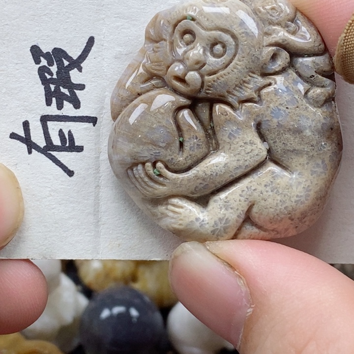 颈饰未镶嵌硅化珊瑚（珊瑚玉）