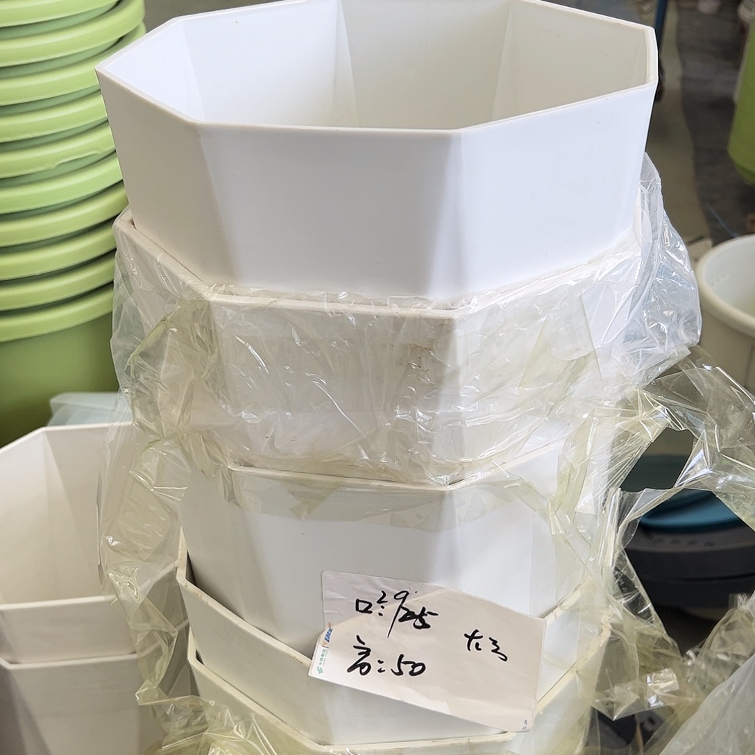 瑕疵大号八角白色2个无托