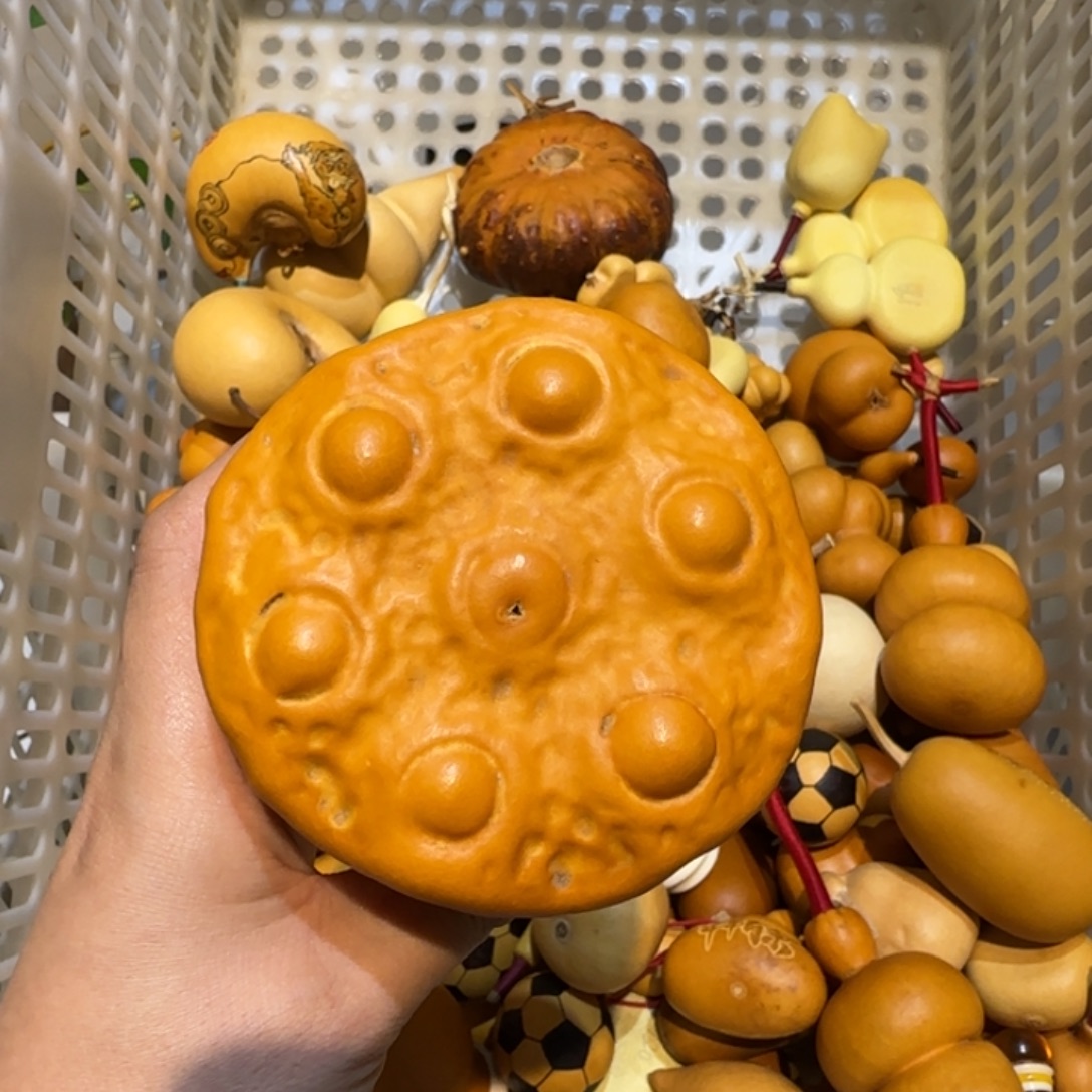 永***）哈哈哈哈哈哈哈哈哈哈