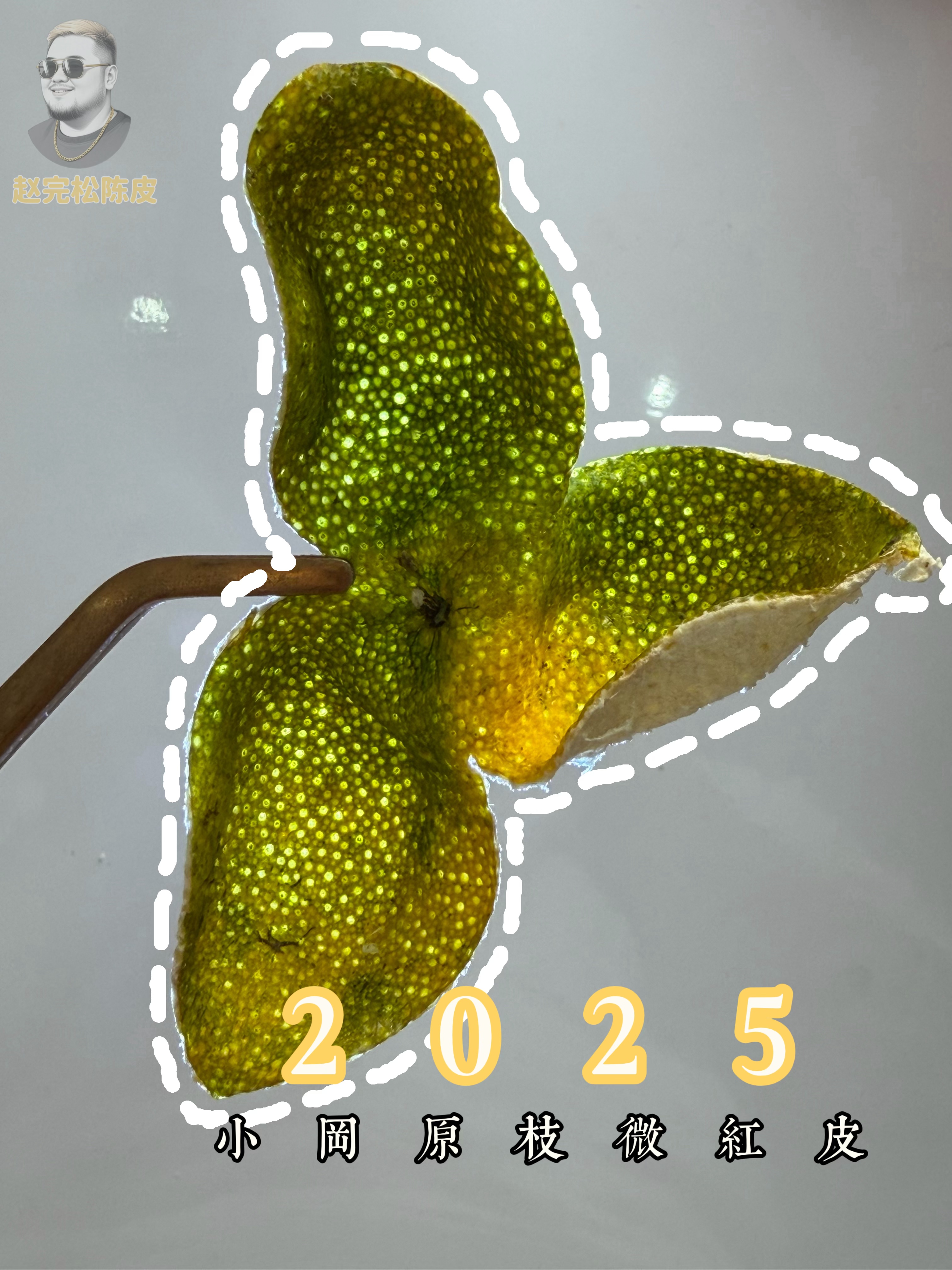 2025新会小冈微红皮（原枝）