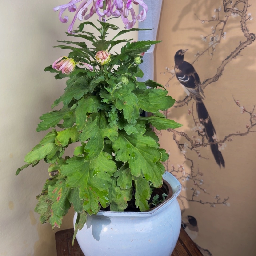 完全开放B7777777777777