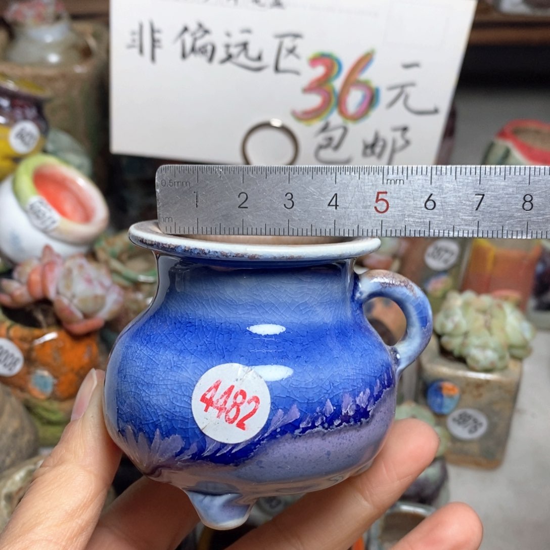 花盆拍5个送一个小礼物