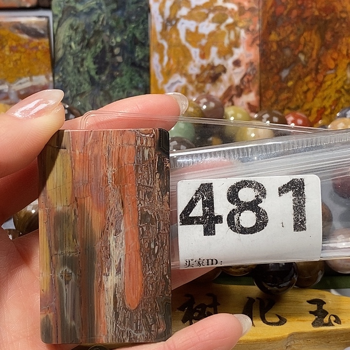 硅化玉未镶嵌天然北票树化玉吊坠