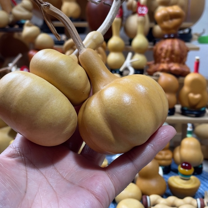 领***悟70美好的一天从吃瓜开始